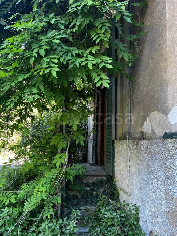 immagine annuncio 3 di 14