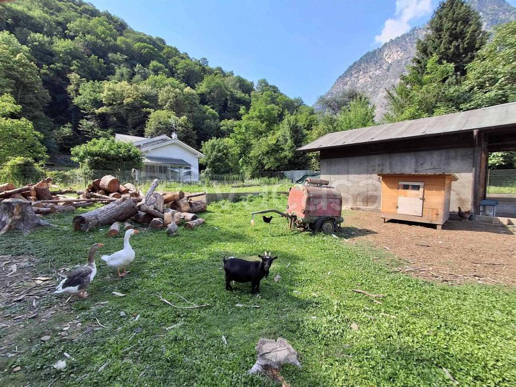 immagine annuncio 1 di 14