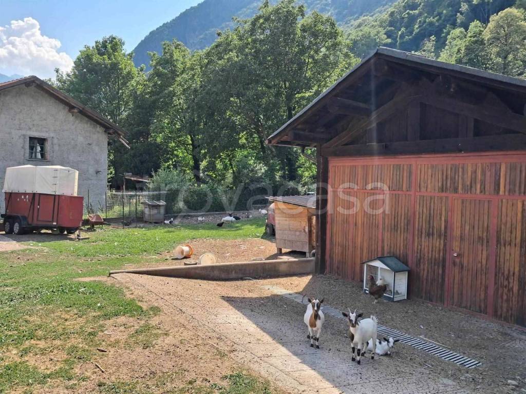 immagine annuncio 2 di 14