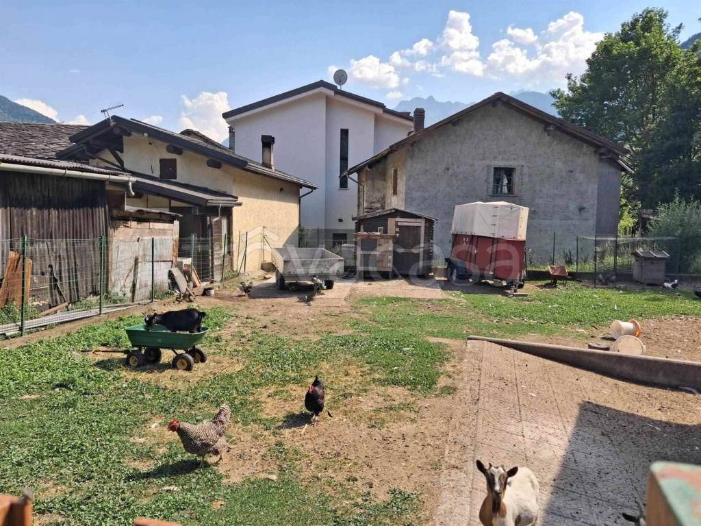 immagine annuncio 5 di 14
