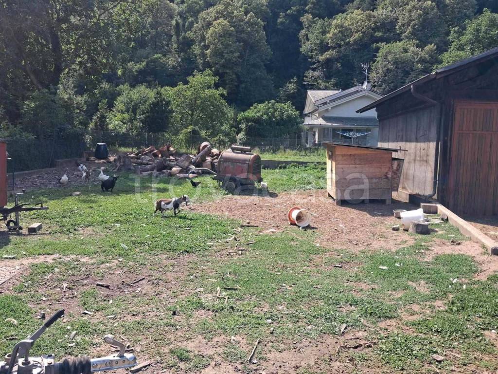 immagine annuncio 6 di 14