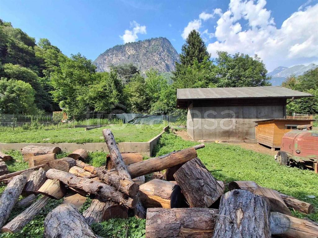immagine annuncio 11 di 14