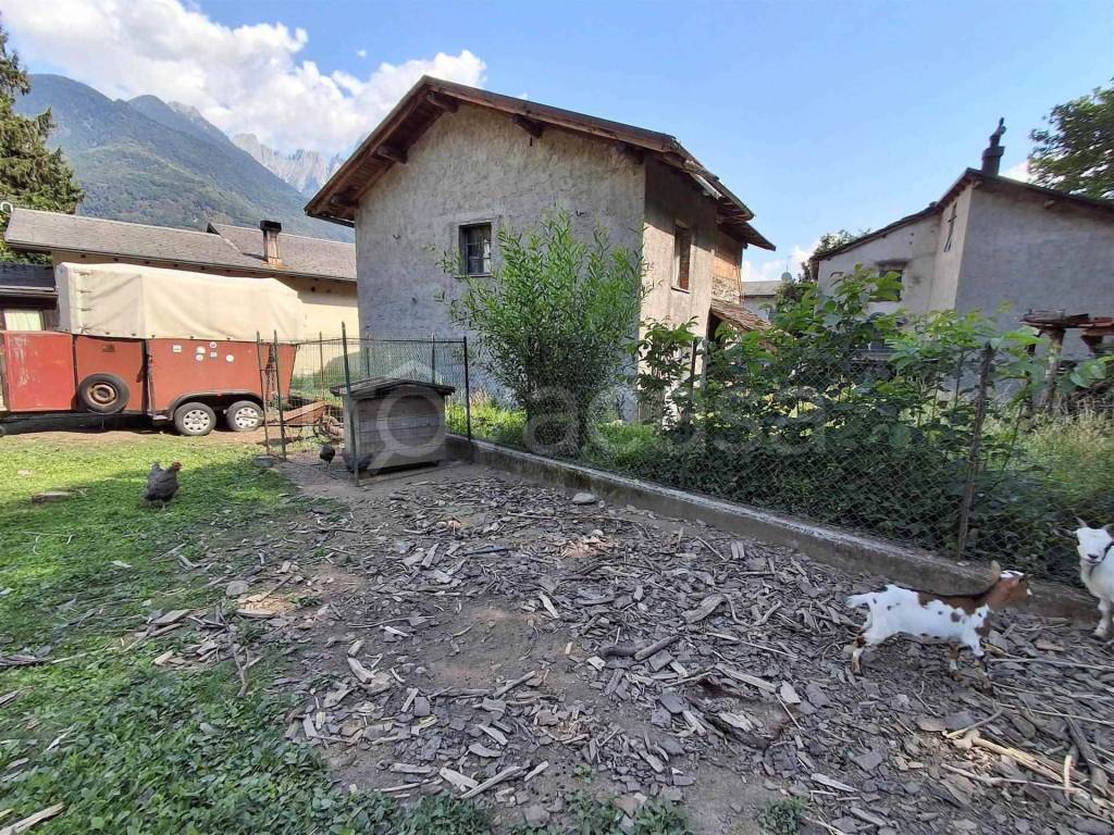 immagine annuncio 13 di 14