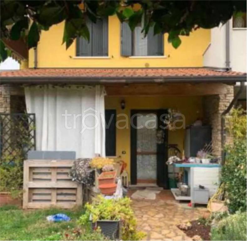 immagine annuncio 1 di 14
