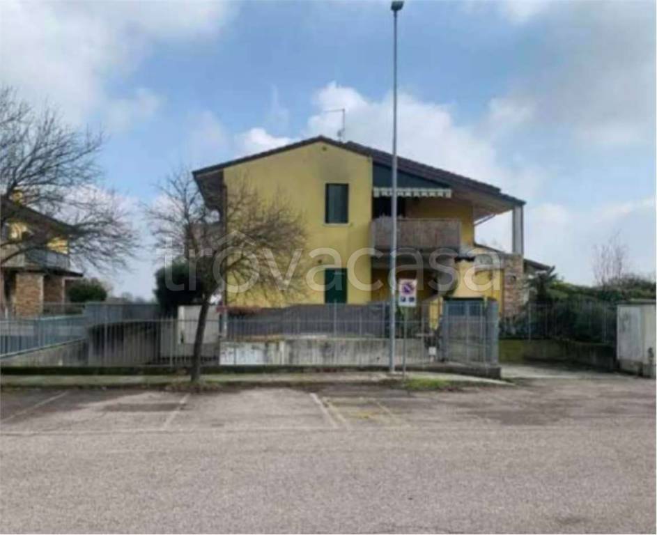 immagine annuncio 12 di 14