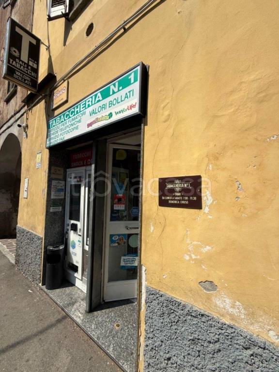 immagine annuncio 3 di 11