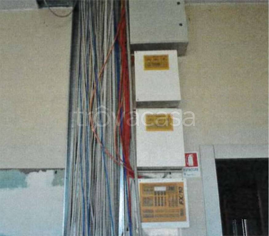 immagine annuncio 11 di 14