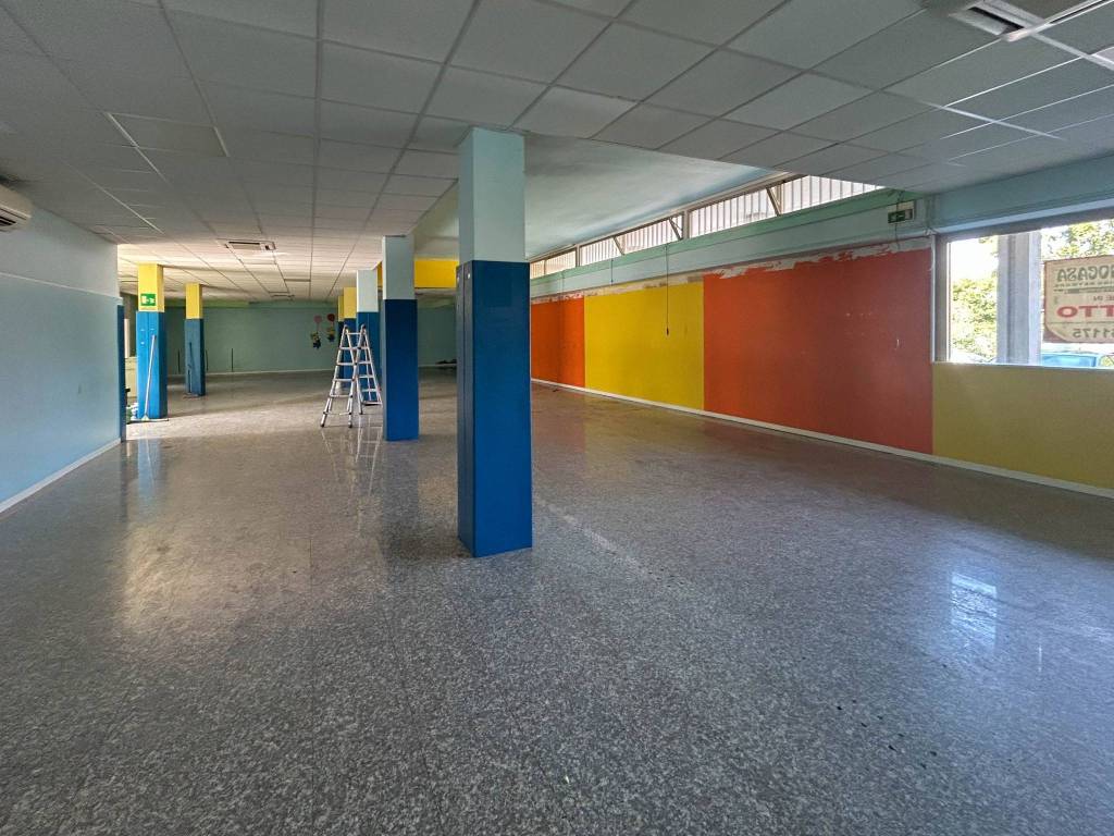 immagine annuncio 9 di 15