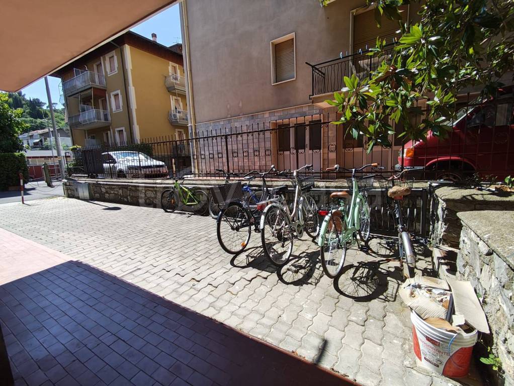 immagine annuncio 9 di 15