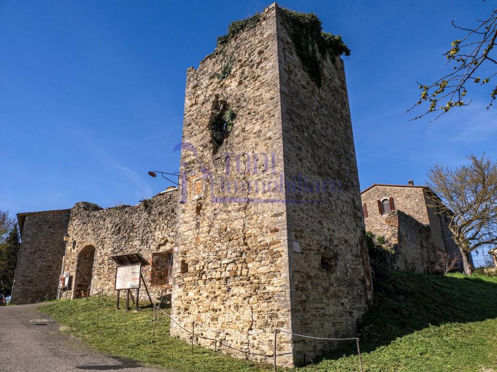 immagine annuncio 6 di 14