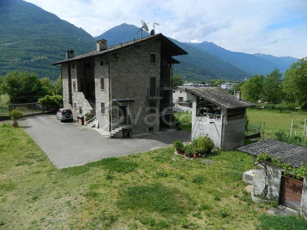 immagine annuncio 11 di 15