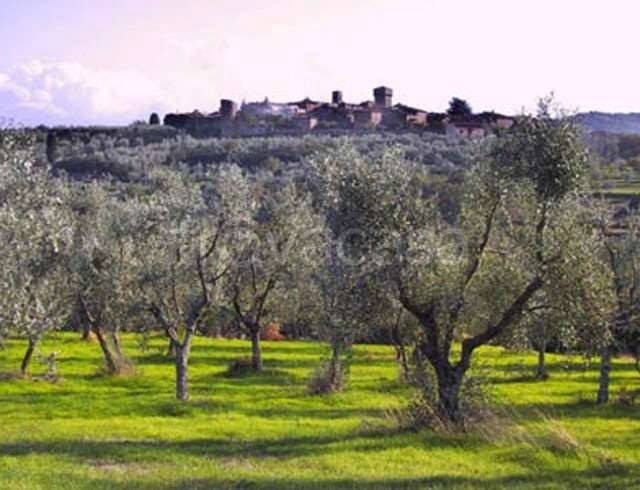 immagine annuncio 1 di 2