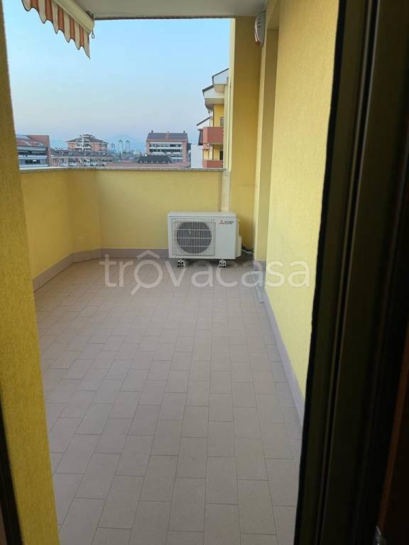 immagine annuncio 9 di 11