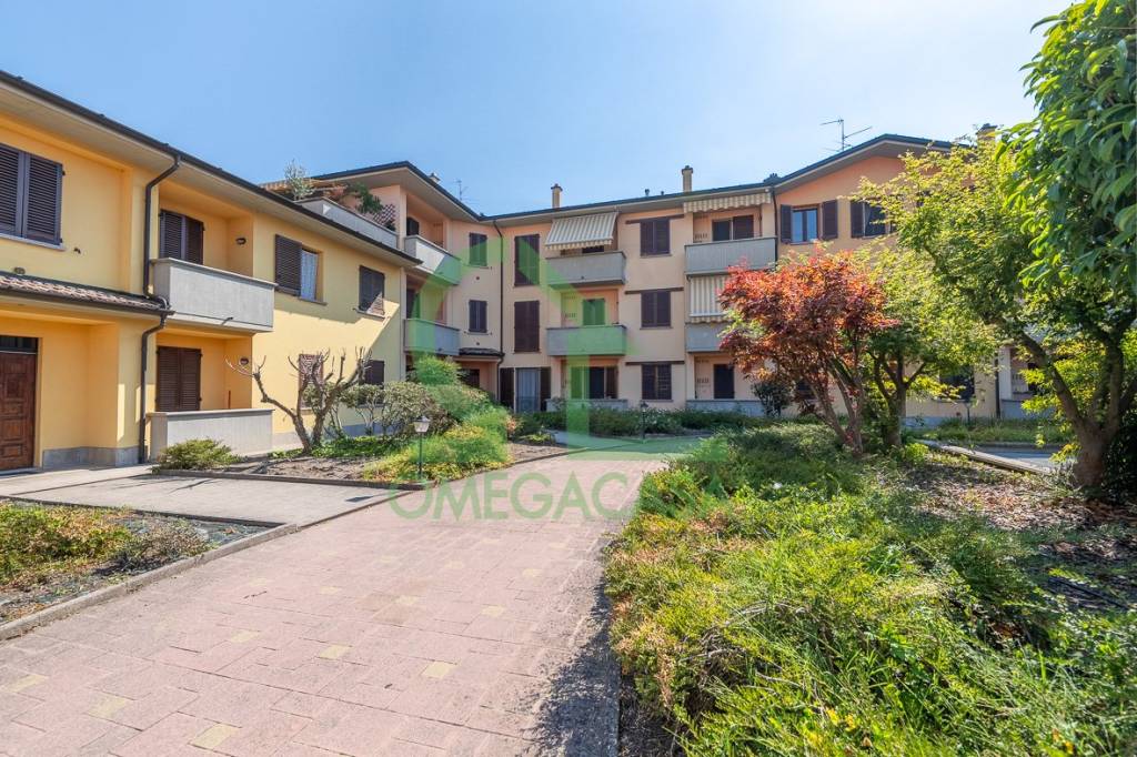 immagine annuncio 10 di 12