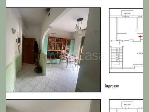 immagine annuncio 9 di 14