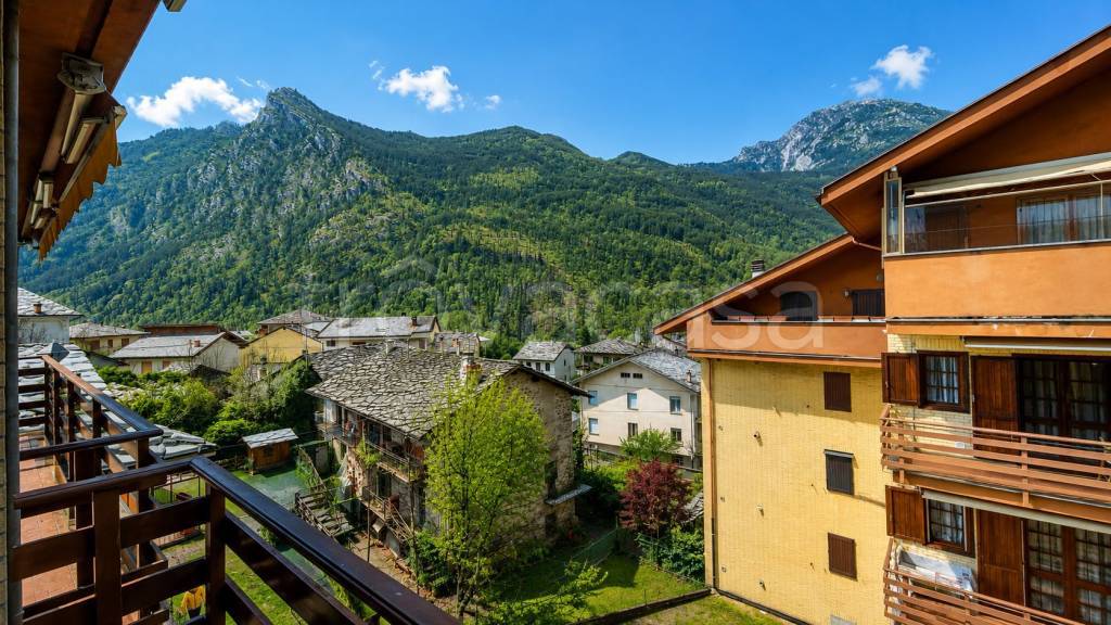 immagine annuncio 7 di 14
