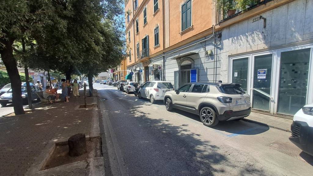 immagine annuncio 6 di 14
