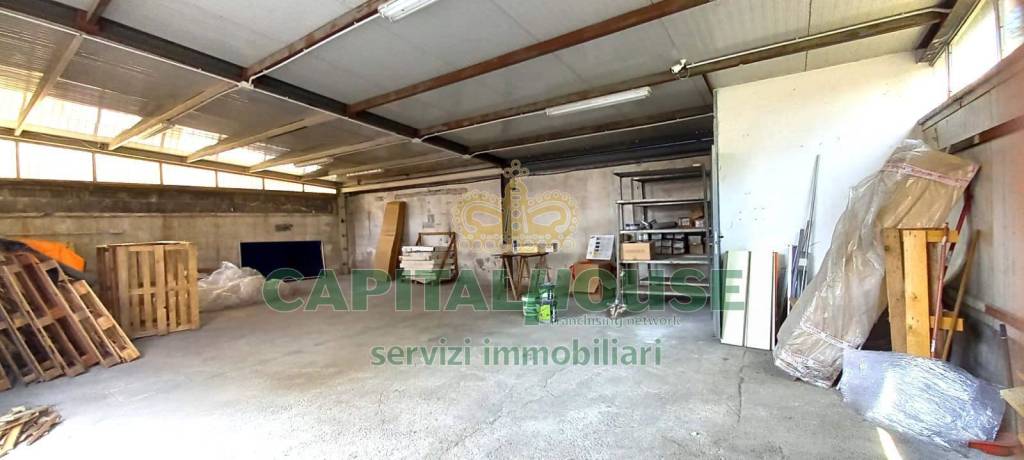 immagine annuncio 3 di 8