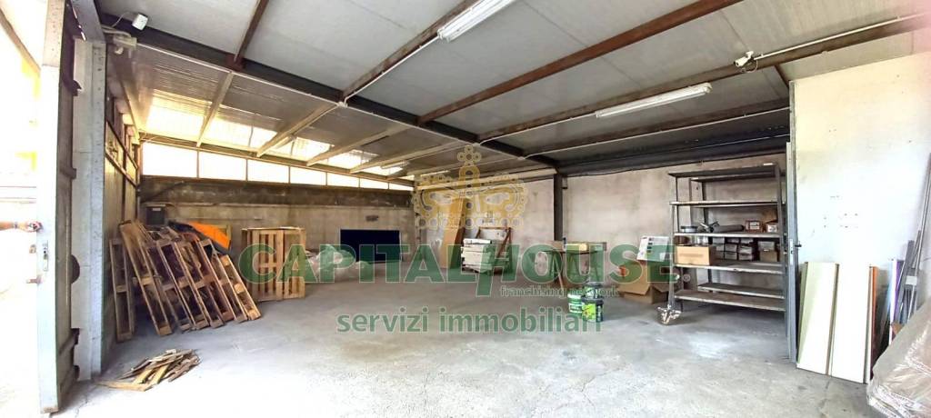 immagine annuncio 4 di 8