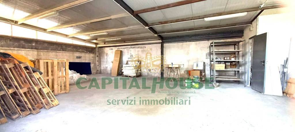 immagine annuncio 7 di 8
