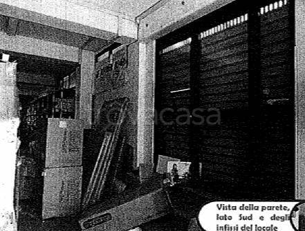 immagine annuncio 2 di 4