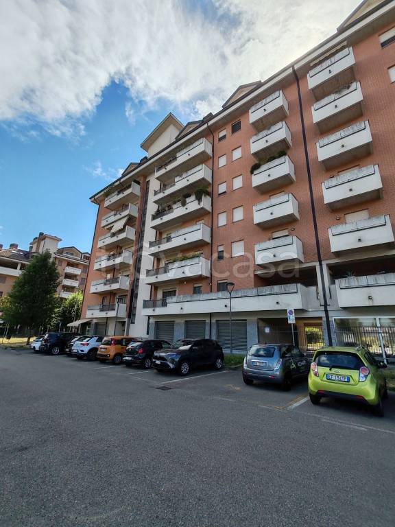 immagine annuncio 2 di 15
