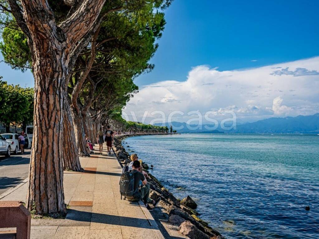 immagine annuncio 13 di 14
