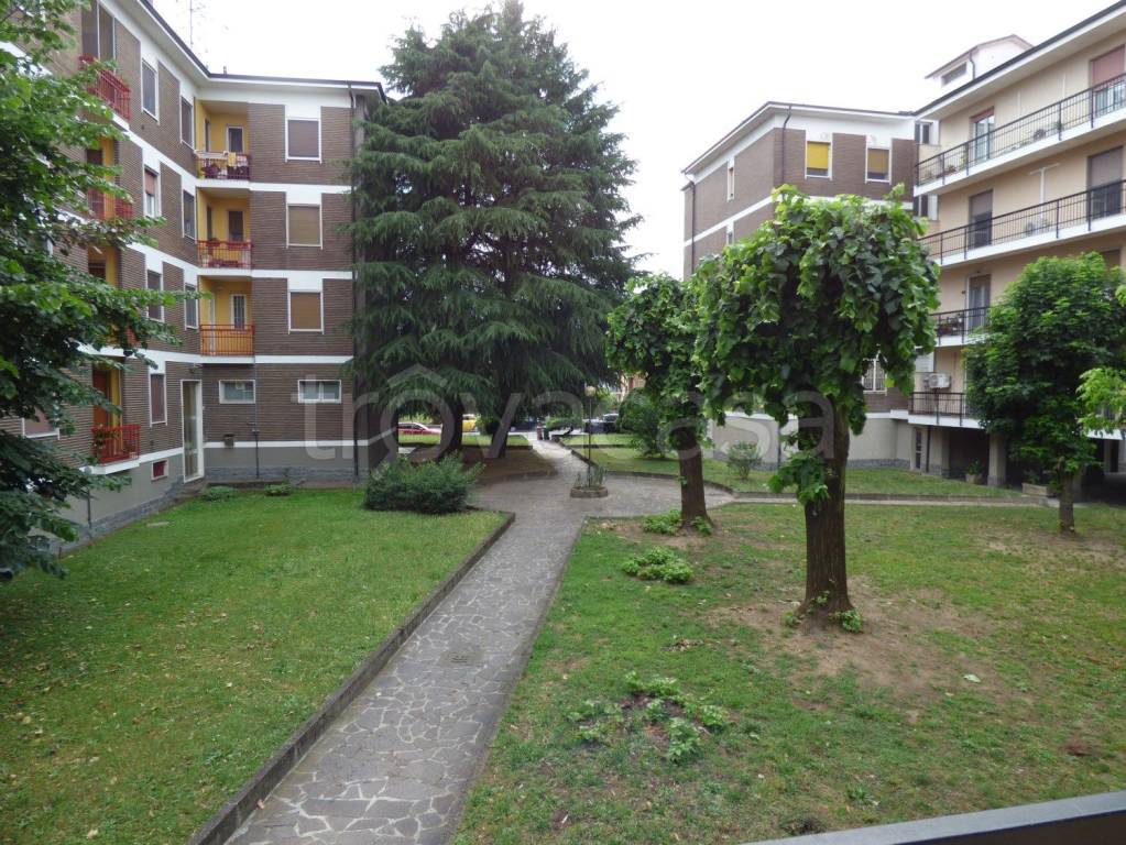 immagine annuncio 9 di 15