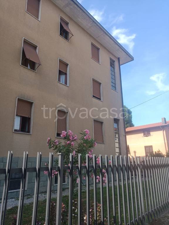 immagine annuncio 2 di 12