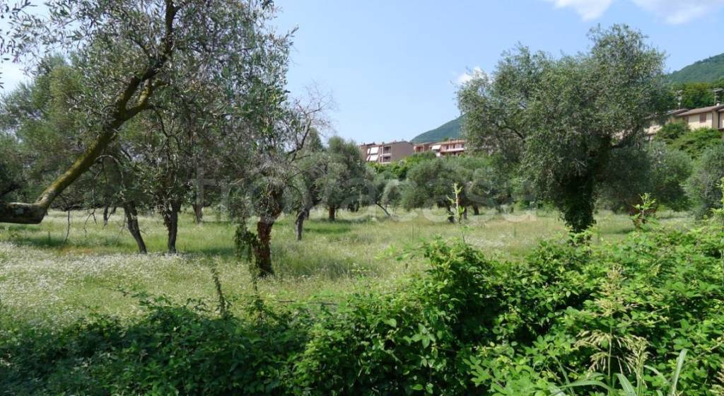immagine annuncio 3 di 8