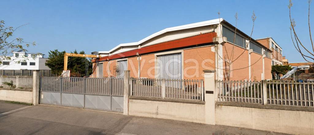 immagine annuncio 1 di 15