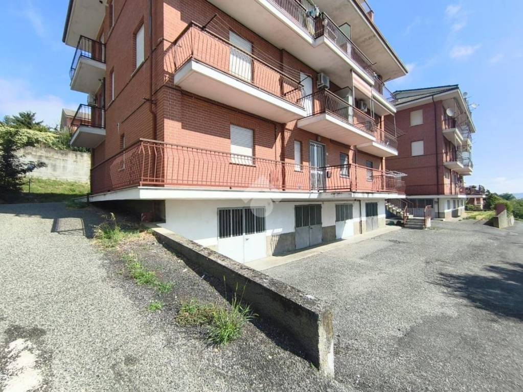 immagine annuncio 12 di 15