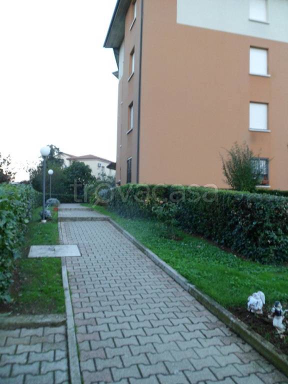 immagine annuncio 1 di 9