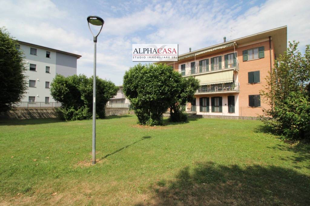 immagine annuncio 2 di 11