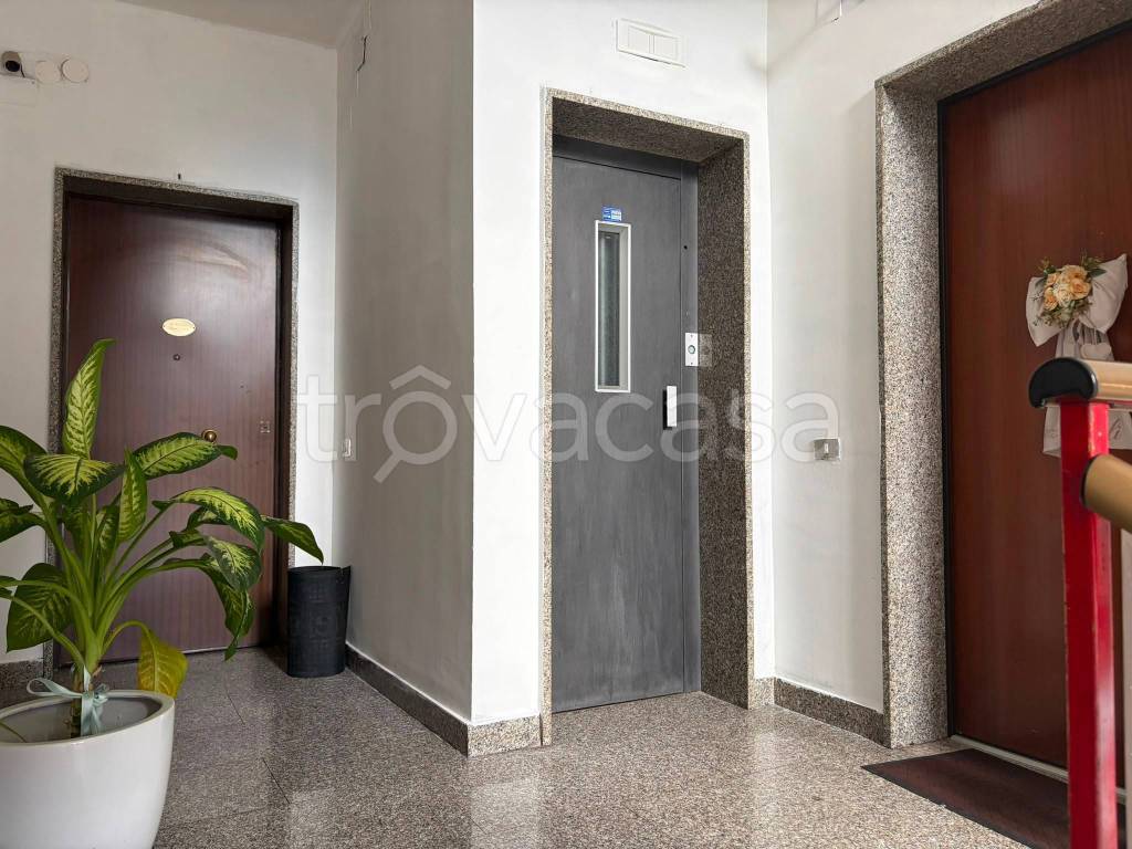 immagine annuncio 10 di 14