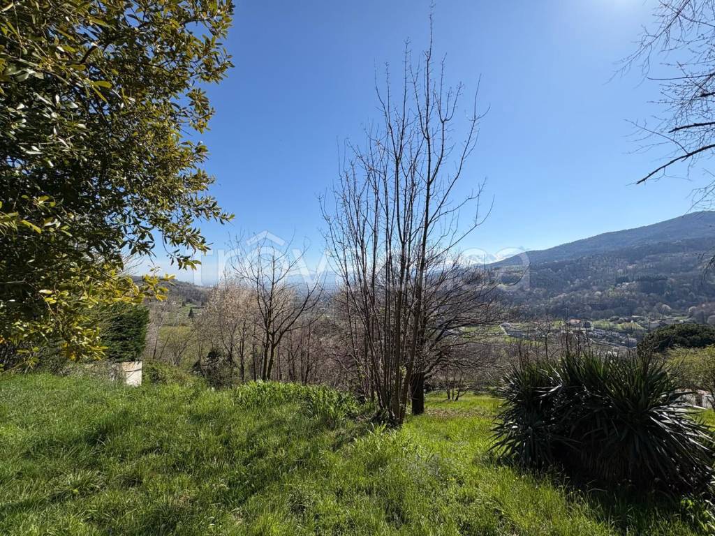 immagine annuncio 2 di 6