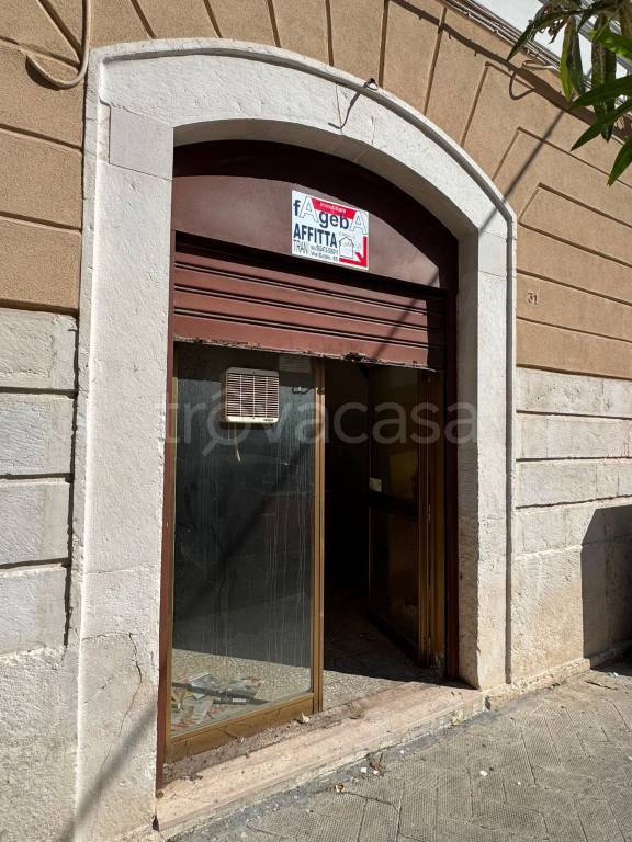 immagine annuncio 10 di 13