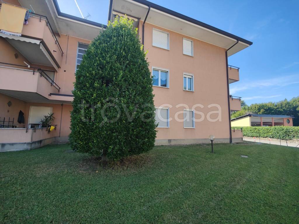 immagine annuncio 8 di 15