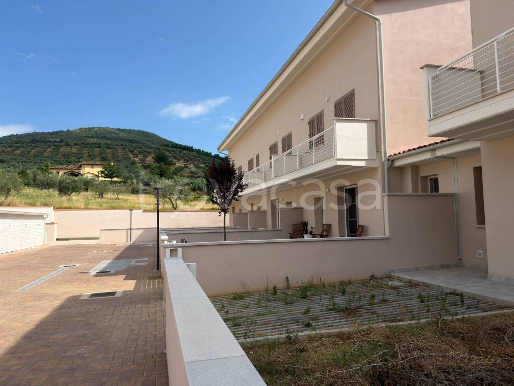 immagine annuncio 7 di 11