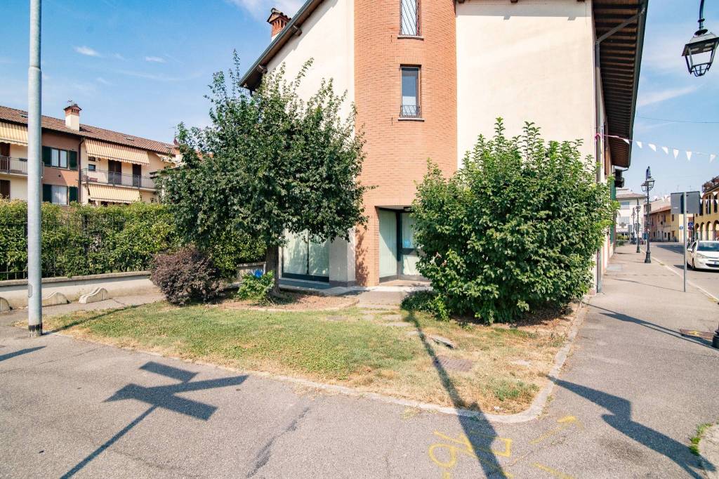 immagine annuncio 4 di 8