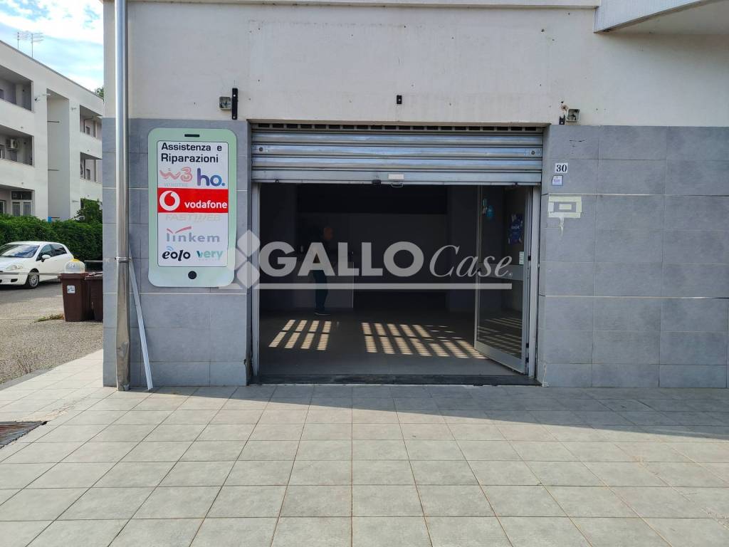 immagine annuncio 2 di 10