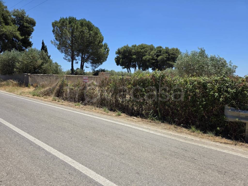 immagine annuncio 5 di 11