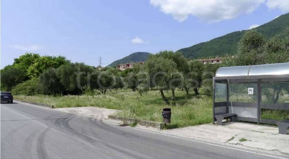 immagine annuncio 5 di 9