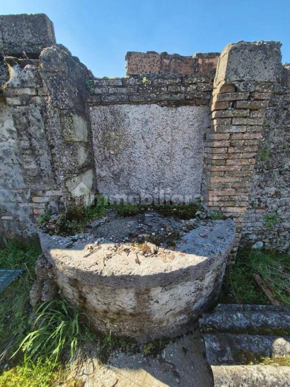 immagine annuncio 5 di 7