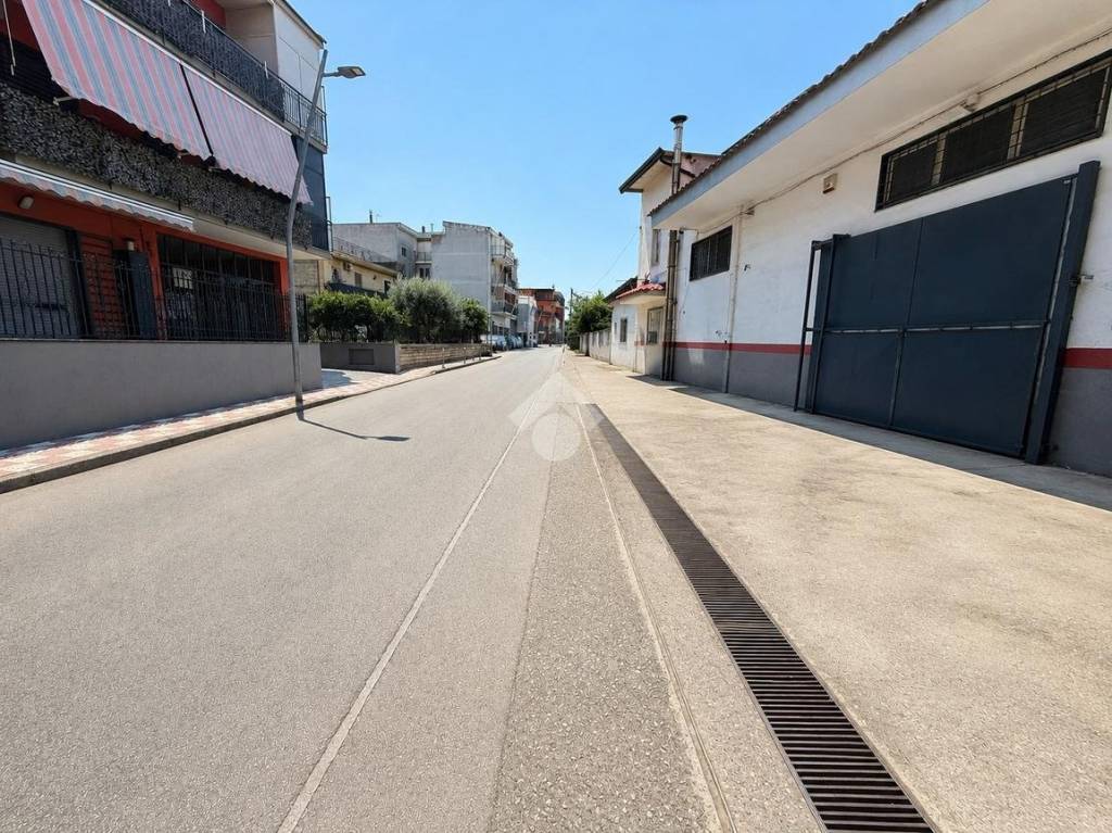 immagine annuncio 9 di 13