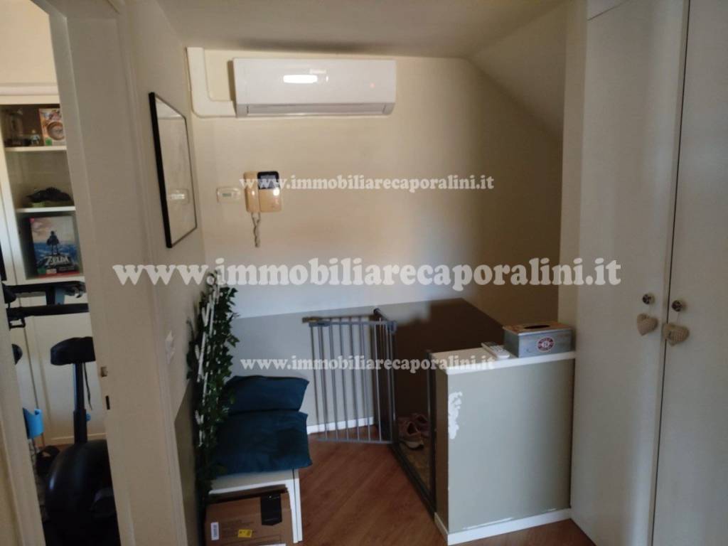 immagine annuncio 7 di 14