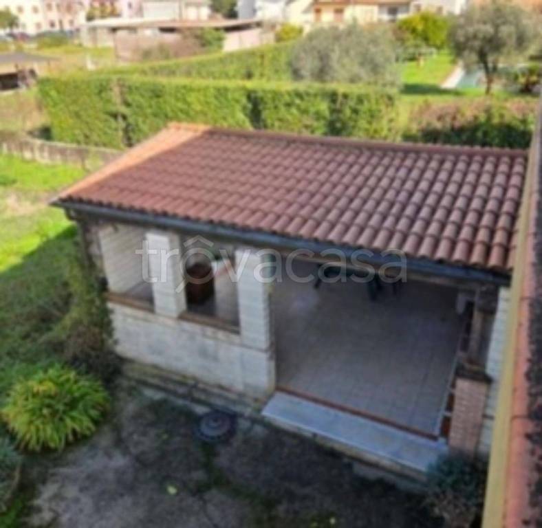 immagine annuncio 11 di 13