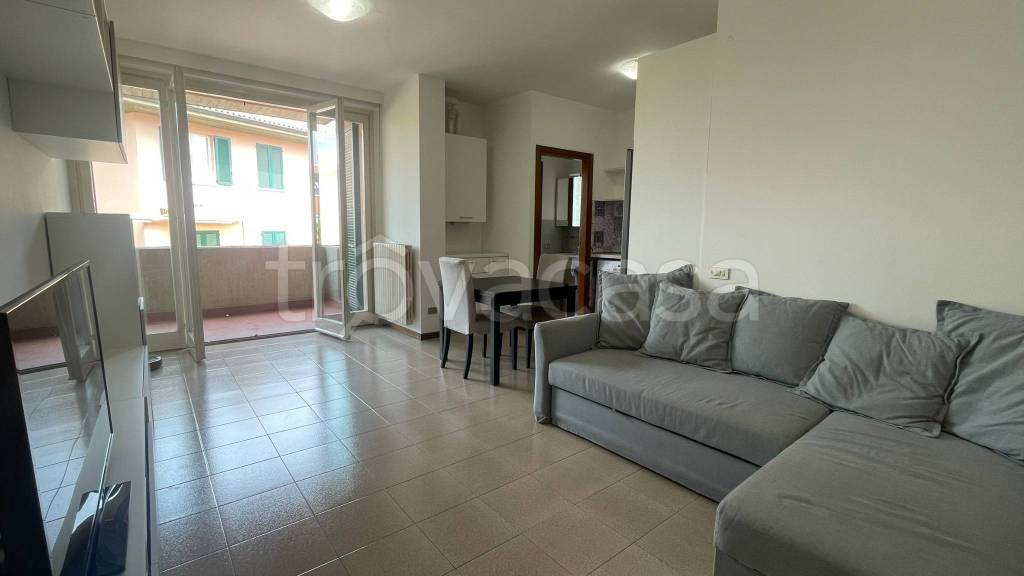 immagine annuncio 1 di 15