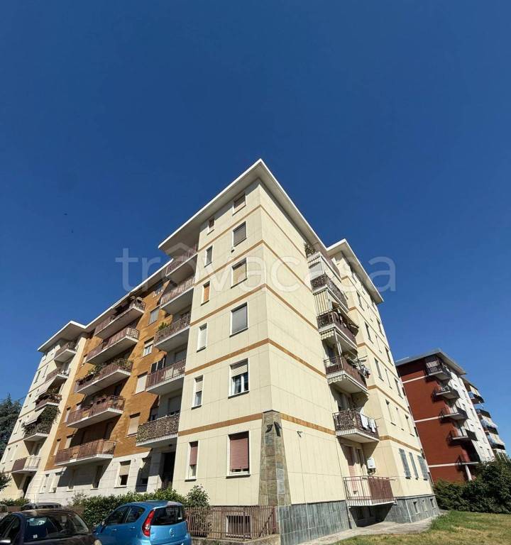 immagine annuncio 1 di 15