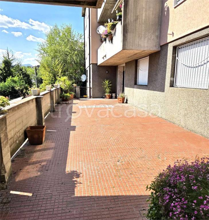 immagine annuncio 9 di 14